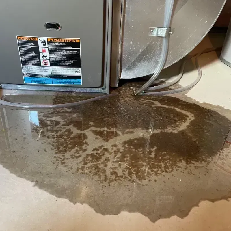 Appliance Leak Cleanup in Lexington-Fayette, KY